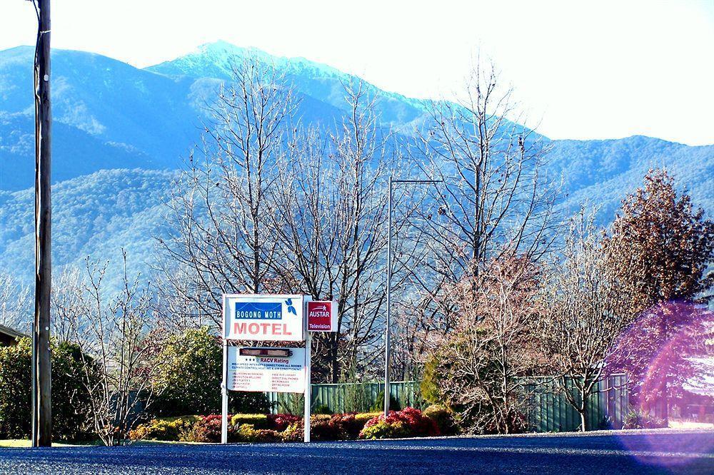 Bogong Moth Motel Mount Beauty Buitenkant foto