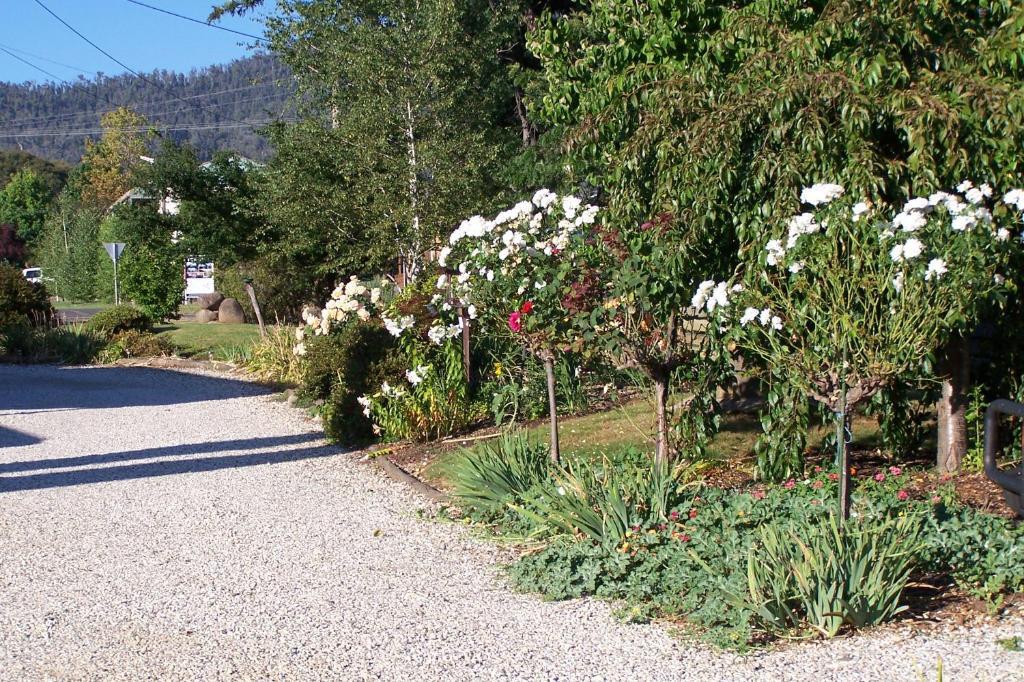 Bogong Moth Motel Mount Beauty Buitenkant foto
